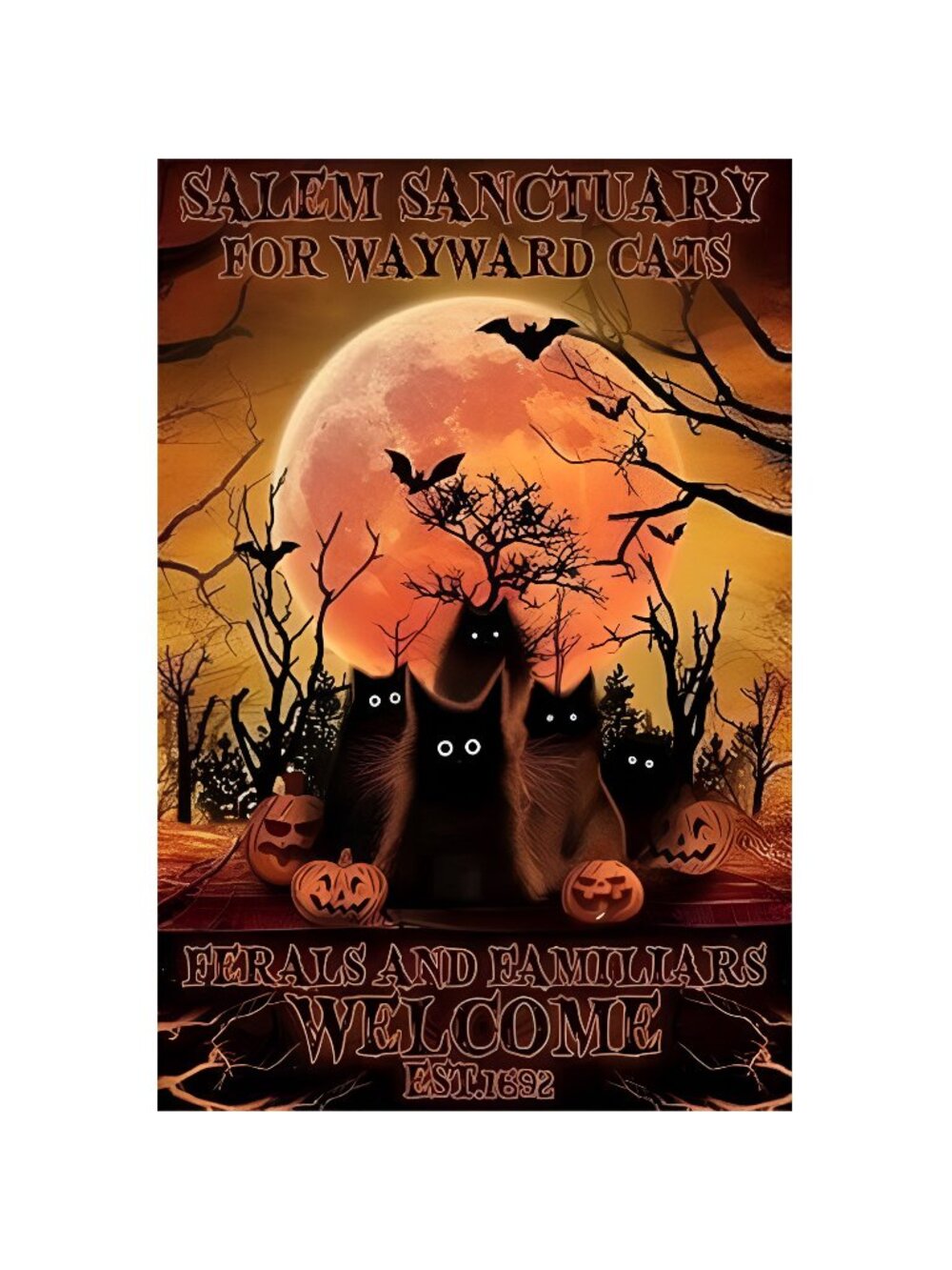 Salem Sanctuary For Wayward Cats Halloween cat Pumpkin Tin Sign 8x12 ", Orange
